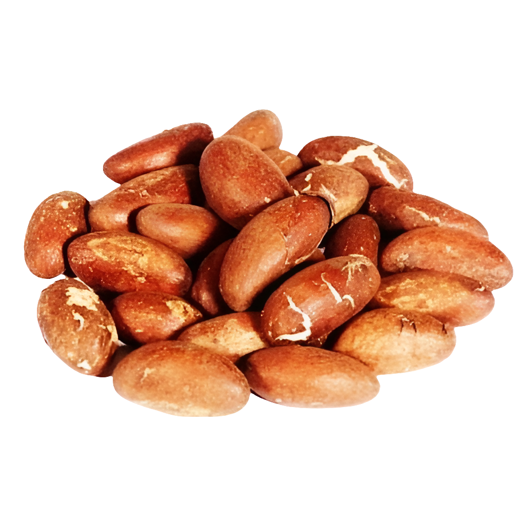 Promo Noix De Petit Cola (Stulante) - 100% Naturel, Digestif Et énergisant, Lot De 5 Sachets