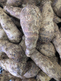 Macabo / Cocoyam