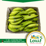 Banane plantain