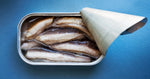 Sardines en conserve
